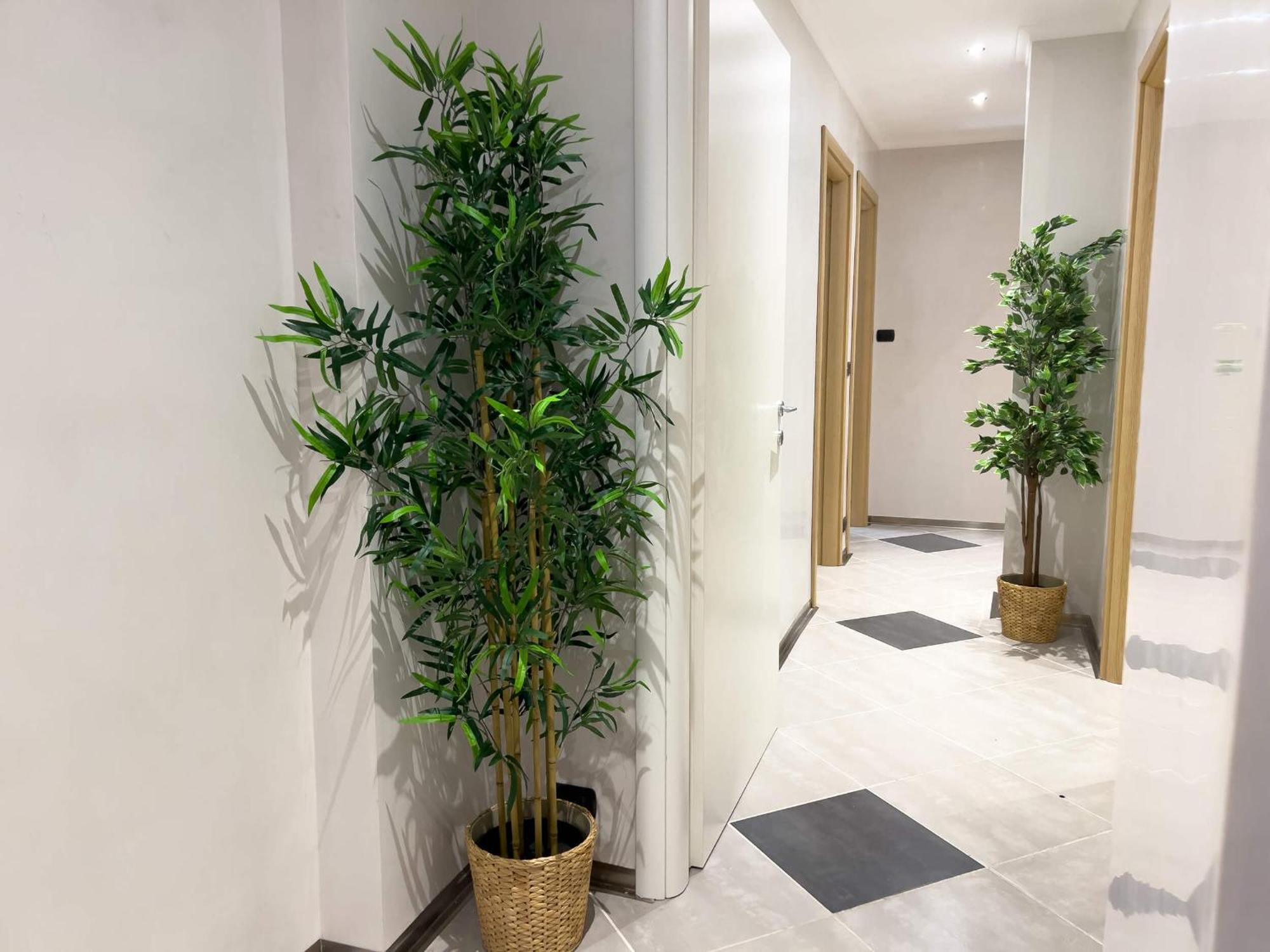 Sofia Guest House Rzym Zewnętrze zdjęcie